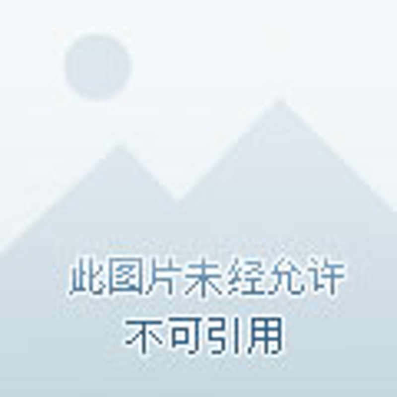 南岸区秀苑大厦：个体工商户如何抢占市场先机？